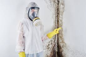 Professional Mold Removal & Remediation in Dawson, GA